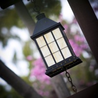 IMG_6258