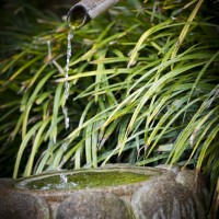 IMG_6298