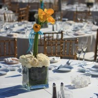 img_1482paulannwedding