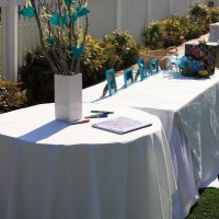 img_1497paulannwedding