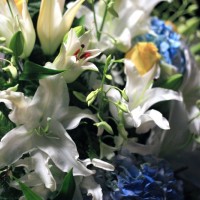img_2283paulannwedding