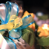 img_2285paulannwedding