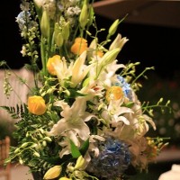 img_2392paulannwedding