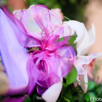 Ashly+Jacob_WeddingFavorites-33