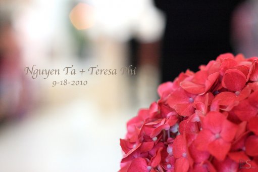 DPP_TeresaNNguyen0013