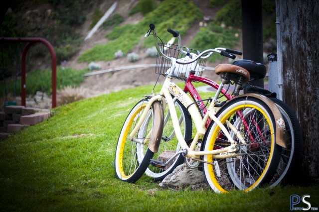 bikes2