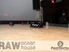 RawOcean10-01-2011BirthdayThurs-15