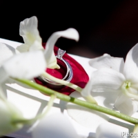 Dang+Olge_Wedding-348