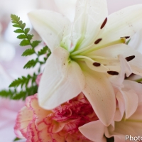Dang+Olge_Wedding-409