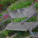 Grey Bench Photostem Shootout